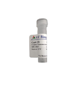 Cy5 NHS酯 貨號(hào)151