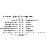 Membrane Lipid Strips P-6002